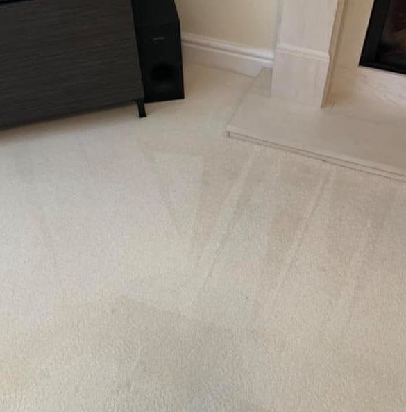 Best carpet cleaning services in Munster